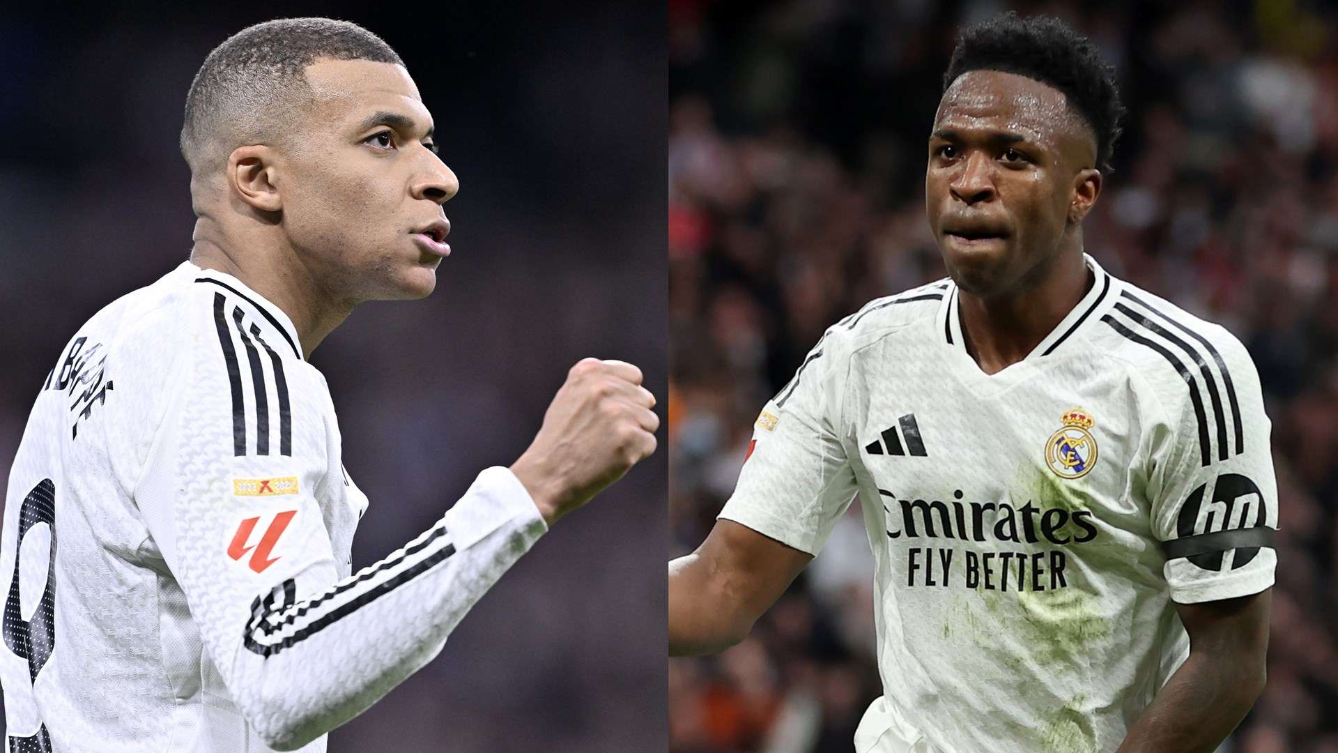 成功運用展 成功運用展